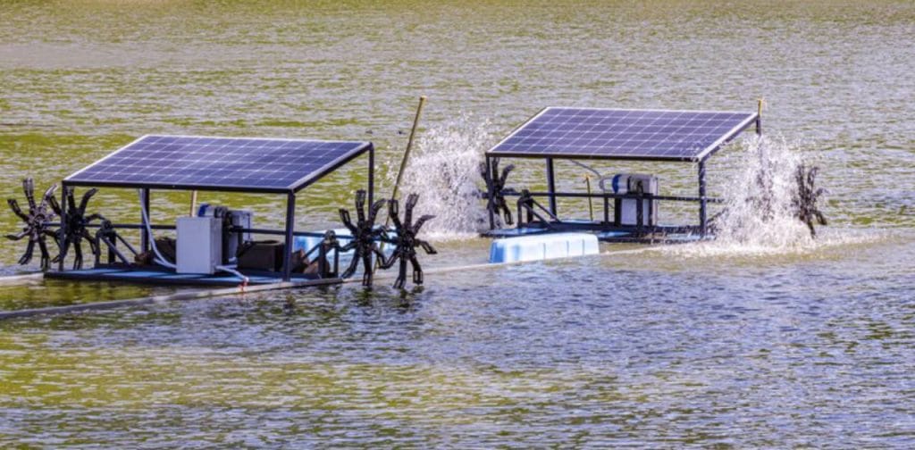 Role of Solar Desalination